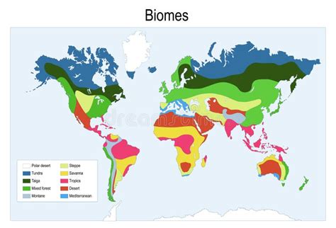 Mapa De Cores Dos Principais Biomas Do Mundo Ilustração do Vetor