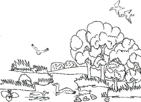 The book has pages on the lion, zebra, ostrich, rhino, elephant, giraffe, cheetah, chimp, and gorilla. Desert Habitat Coloring Pages at GetColorings.com | Free ...