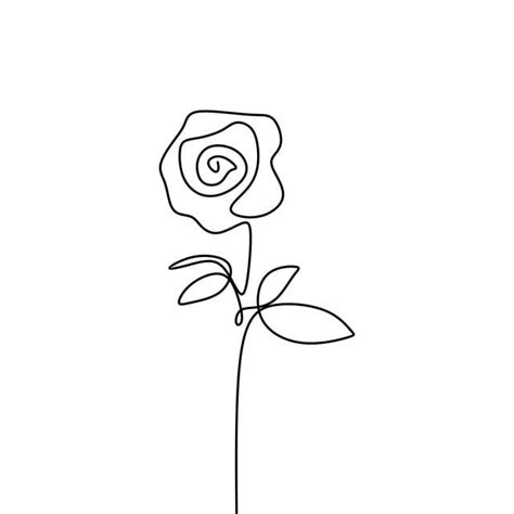 Use the images for web graphics. One Line Rose Flower Minimalism Drawing Vector ...