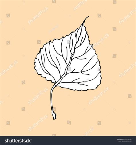 Aspen Leaf Silhouette Icon White Fill Stock Vector Royalty Free