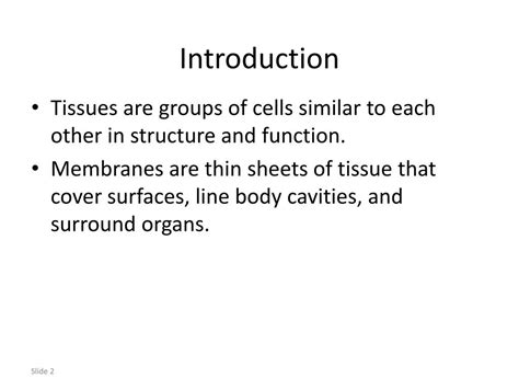 Ppt Chapter 6 Tissues And Membranes Powerpoint Presentation Free