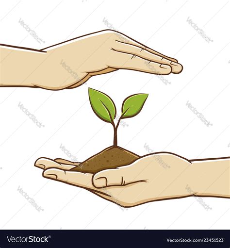 Pair Of Hand Holding Soil And Plant Royalty Free Vector