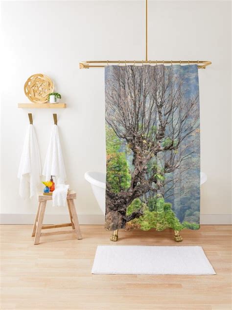 A Bare Spring Tree Shower Curtain By Mariolangstieh Redbubble