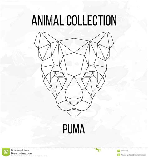 Geometric Puma Head Stock Vector Illustration Of Cartoon