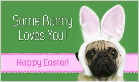 Some Bunny Loves You Happy Easter Happy Easter Quotes Easter Quotes