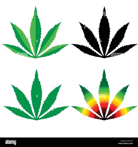 Vectores De Plantas De Marihuana Vectores Fotograf As E Im Genes De