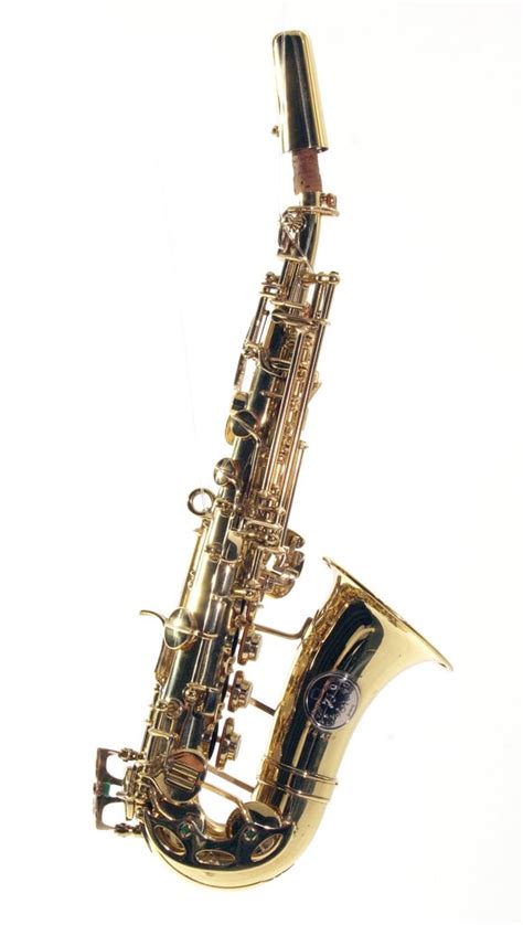 10 Types Of Saxophones Musical Mum