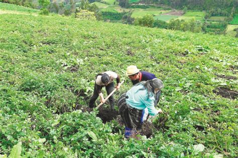 Se Delimita La Frontera Agrícola En Colombia Hay 40 Millones De