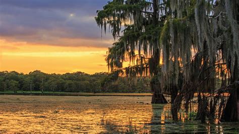 30 Amazing And Awesome Facts About Louisiana Tons Of Facts
