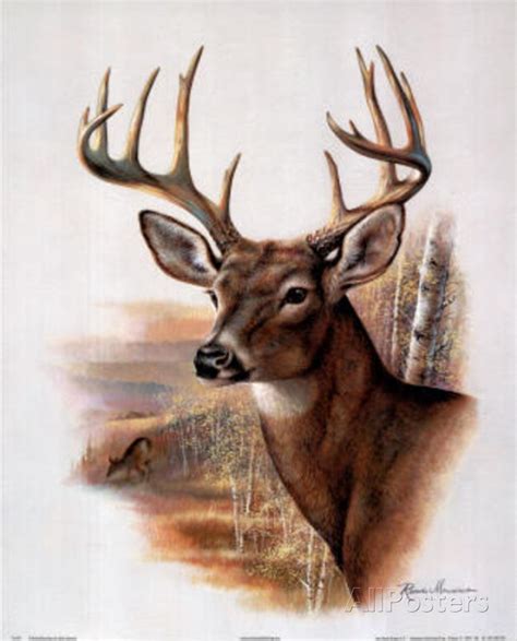 Ruane Manning Fall Splendor Deer Art Poster Print Photo