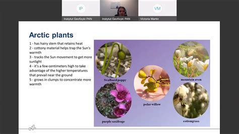 Plants Adaptations To The Arctic Climate Youtube
