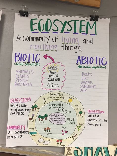 Anchor charts can be used with younger students to support their independence with the writing process, writing content, and mechanics. Ecosystem Anchor Chart | Fourth grade science, 6th grade ...