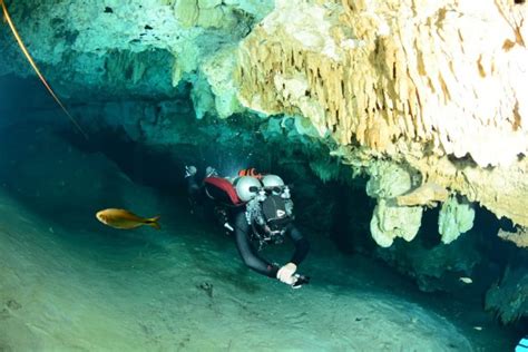 Cave Diving Training In Tulum Mexico Koox Diving