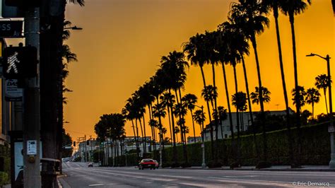 Palm Trees Sunset Hancok Park Los Angeles California Eric