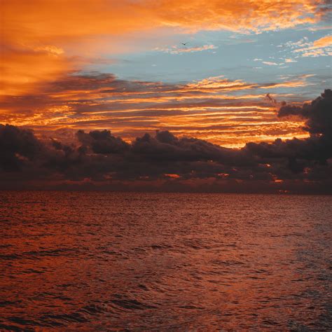 Download Wallpaper 2780x2780 Sea Horizon Clouds Sunset Sky Ripples
