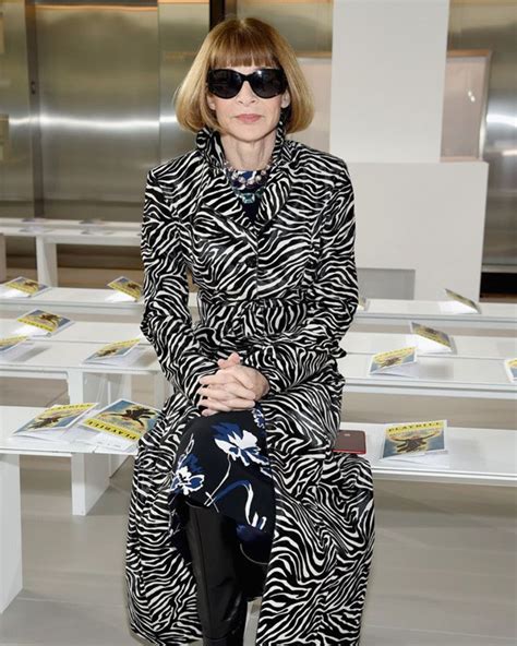 Zebra Print & High Fashion | The Lady-like Leopard