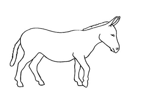 How To Draw A Donkey Step By Step Easy Animals 2 Draw