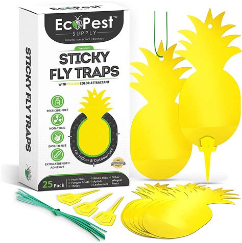Yellow Sticky Traps 25 Pack Yellow Fly Paper Trap And Gnat Sticky
