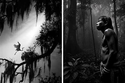 25 Of The Most Beautiful Black And White Images Taken By Photographers From All Over The World