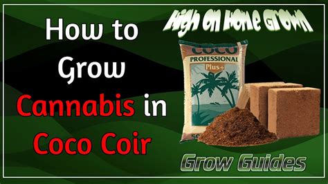 How To Grow Cannabis In Coco Coir Cannabis Grow Guides 49 Youtube