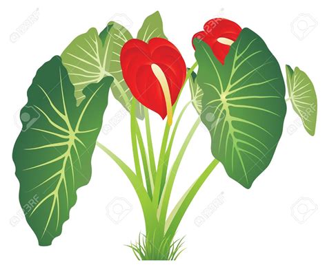 Foliage Plant Clipart 20 Free Cliparts Download Images