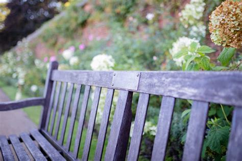 Wooden Bench On A Park Surrounded By Plants And Flowers Stock Photo