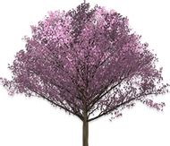 View our latest collection of free cherry blossom png images with transparant background, which you can use in your poster, flyer design, or presentation powerpoint directly. Free Tree Clipart - Animated Tree Gifs