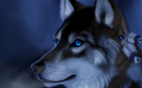 Wolf wallpapers, backgrounds, images 1920x1080— best wolf desktop wallpaper sort wallpapers by: Wolf HD Wallpaper | Background Image | 2560x1600 | ID ...