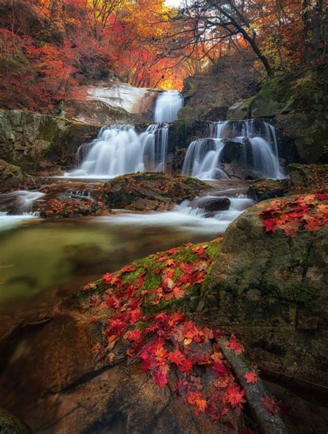 Autumn Waterfall Autumn Waterfalls Fall Photography Nature