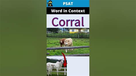 Corral Psat Word In Context Youtube In 2022 Word Challenge Words