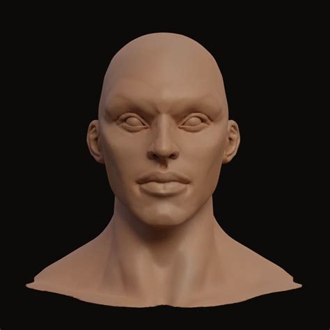 Stylized Heroic Human Male Head 3d Model Cgtrader