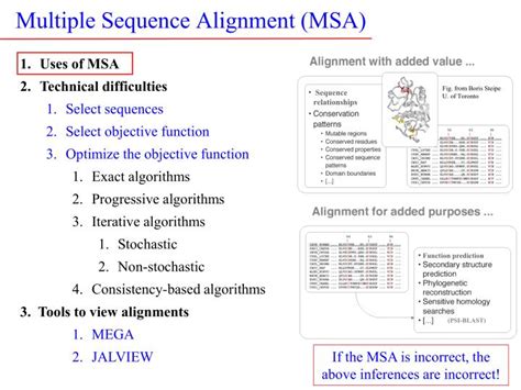 Ppt Multiple Sequence Alignment Msa Powerpoint Presentation Free