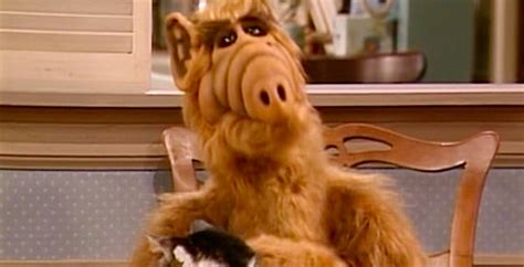 What plant was alf from? Quiz: How Well Do You Remember "ALF"? - Quiz-Bliss.com