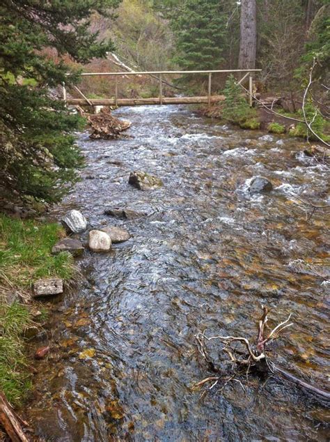 In Praise of Small Streams and Native Fish