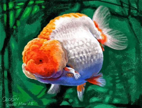 Sebagai negara agraris, tentu indonesia kaya akan makhluk hidup, baik tanaman hingga hewan. fish share: GAMBAR IKAN HIAS AIR TAWAR 7
