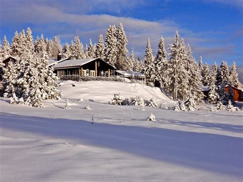 Winter Land Sjusjøen Norway May Lis Birchall Flickr