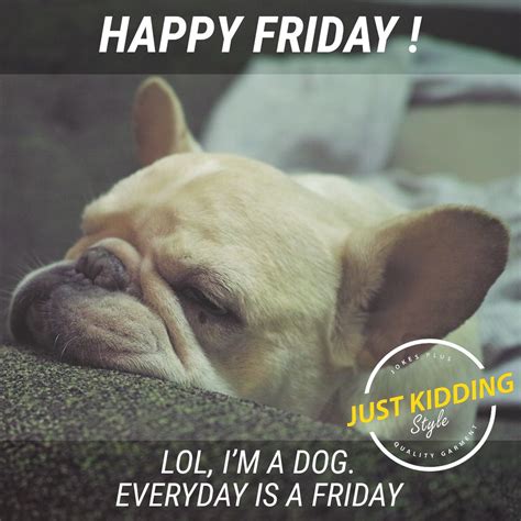 Happy Friday Lol Im A Dog🐶🐶🐶 Everyday Is A Friday ️ ️ ️ Funny Dog