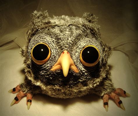 Owl Really Funny Pictures Collection On