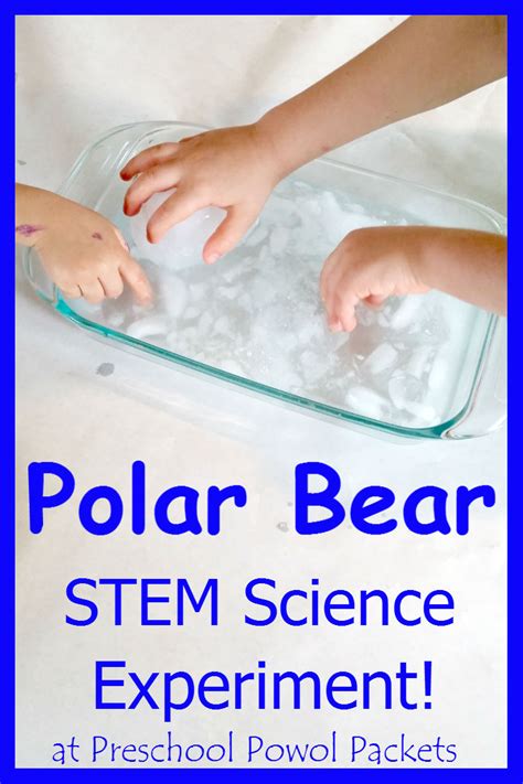 Polar Bear Science Experiment Stem Preschool Powol Packets
