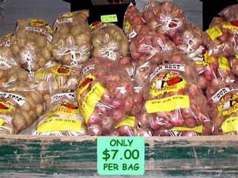 It obviously depends on the size of the potatoes, my guess would be anywhere from 1.5 to 3 potatoes per pound, so a five pound bag could be anywhere from 8 large to 16 medium potatoes. Rob's World: Colon Flushing