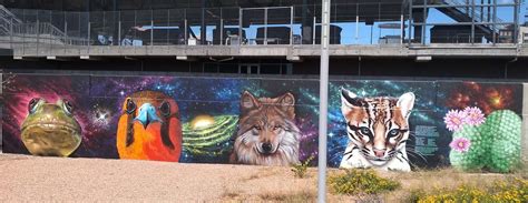 Visit The Cbd Endangered Species Murals For Endangered Species Day