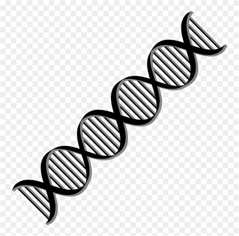 Star clipart black and white. Library of black and white dna picture black and white ...