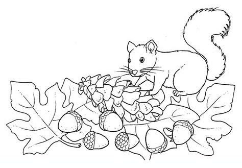 fall_autumn_05 Adults and teens coloring pages | Coloring pages, Fall