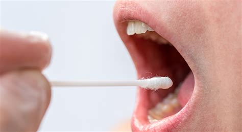 The thc molecules in your bloodstream (and saliva). How to Beat a Mouth Swab Drug Test - MJ PurePlay Index