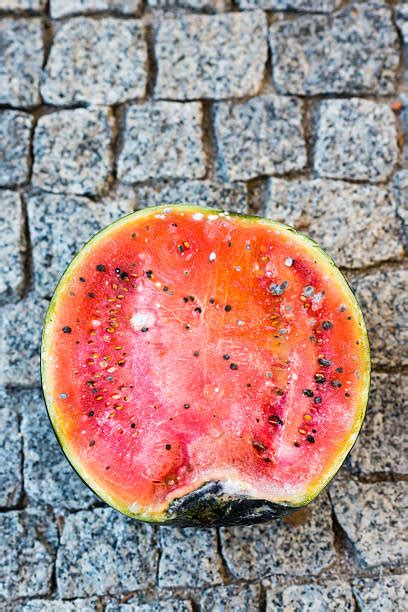 Rotten Watermelon Background Stock Photos Pictures And Royalty Free