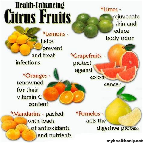 List Of Citrus Fruits And Benefits Of Citrus Fruits My Health Only