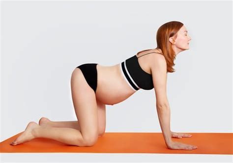 Cat cow pose is considered a base pose as cat cow pose variations can be derived from this pose. Pregnancy and Yoga - Prenatal Yoga Tips, Modifications and ...