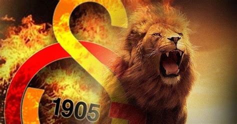 Ve kanarya ifadesi kalıplaşır, zamanla fenerbahçe'nin simgesi haline gelir. Galatasaray'dan transfer bombardımanı! 2 forvet 1 defans ...