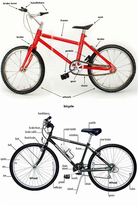 Parts Of A Bicycle And Their Functions Eslbuzz