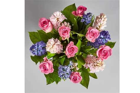 Be sure to browse giving assistant for the newest marks. 17 best Mother's Day flowers for 2019, from Interflora, M ...